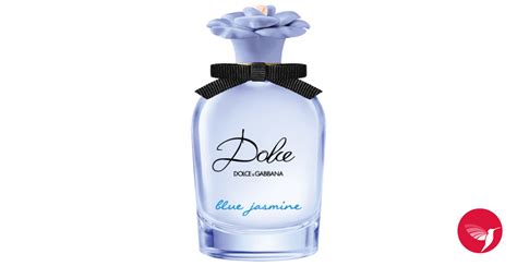 jasmin dolce gabbana|Dolce Blue Jasmine Dolce&Gabbana for women .